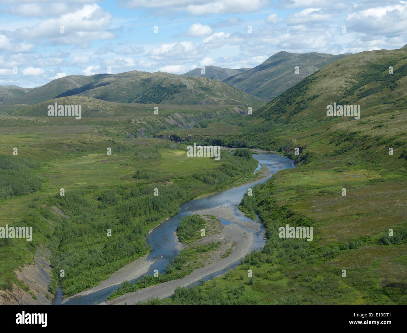 Quicksilver Creek, situato all'interno della riserva naturale nazionale del Delta dello Yukon, è un habitat importante per i rapaci e altri animali selvatici. L'area è regolarmente sorvegliata per monitorare la salute delle popolazioni di fauna selvatica, con indagini in elicottero che aiutano nella raccolta di dati per gli sforzi di conservazione. Foto Stock