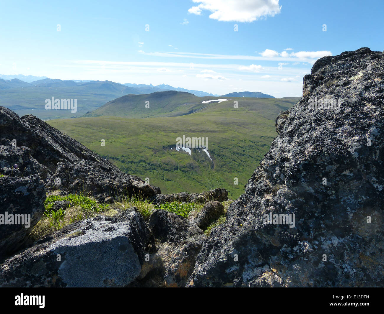 I monti Kilbuck, nel Yukon Delta National Wildlife Refuge, sono stati studiati per monitorare le popolazioni di rapaci. L'area è conosciuta per le sue diverse specie di uccelli e i sondaggi svolgono un ruolo fondamentale negli sforzi di conservazione della fauna selvatica. Foto Stock