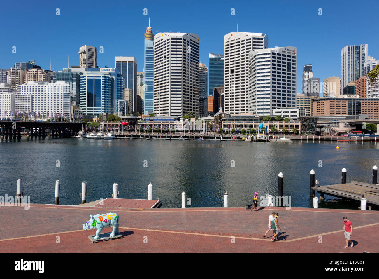 Sydney Australia, Darling Harbour, porto, Cockle Bay Promenade, acqua, grattacieli, skyline della città, Wild! Rhino Sculpture Trail, arte pubblica, AU140311065 Foto Stock