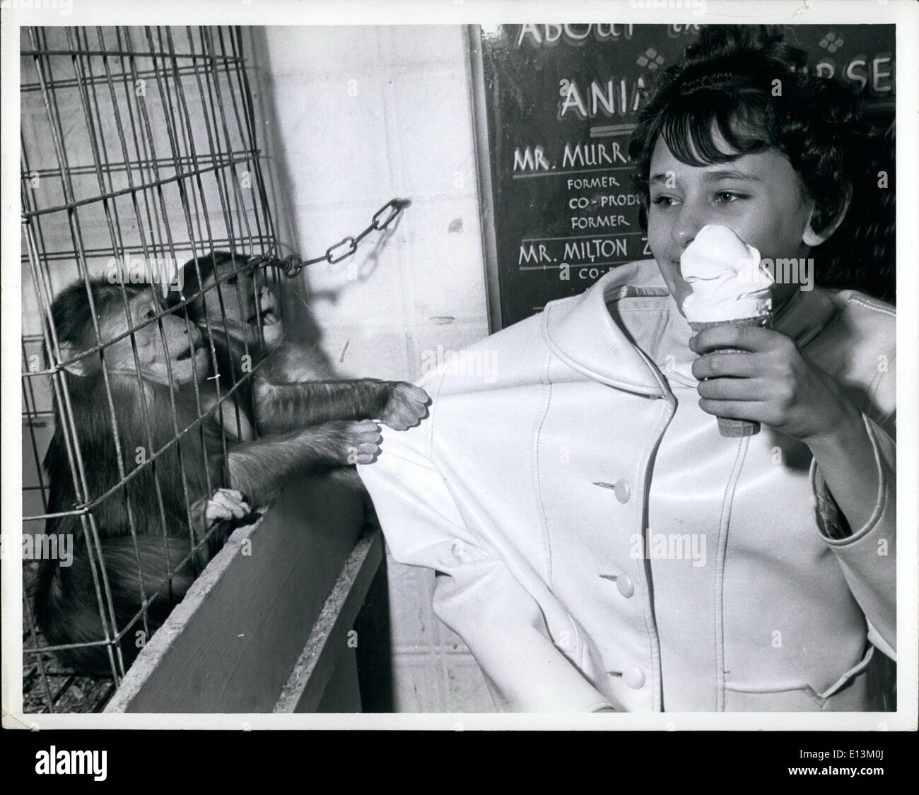 Mar 02, 2012 - Mon desidera un trattamento di un gelato alla vaniglia am cono. Foto Stock