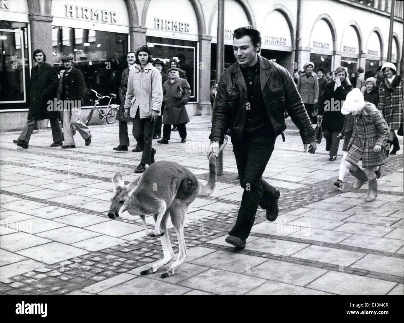 Mar 02, 2012 - canguro e il suo maestro facendo una passeggiata attraverso le strade di Monaco di Baviera isola pedonale. Jonathan è questo australiano a nome di chi è qui preso per una passeggiata dal suo maestro Uwe Schwichtenberg, un artista circense dalla Germania Est. Entrambi i master e il pet appaiono di notte come una grande attrazione a Monaco di Baviera Circus Krone. Per un cambiamento che appaiono durante il giorno, troppo, attraendo come largo un attenzione da parte ignari pedoni. Solo per ragioni di sicurezza l'artista detiene di Jonathan di coda, problemi, anzi, dopo di lui. Keystone Germania Ovest gen. 11.1.1974 Foto Stock