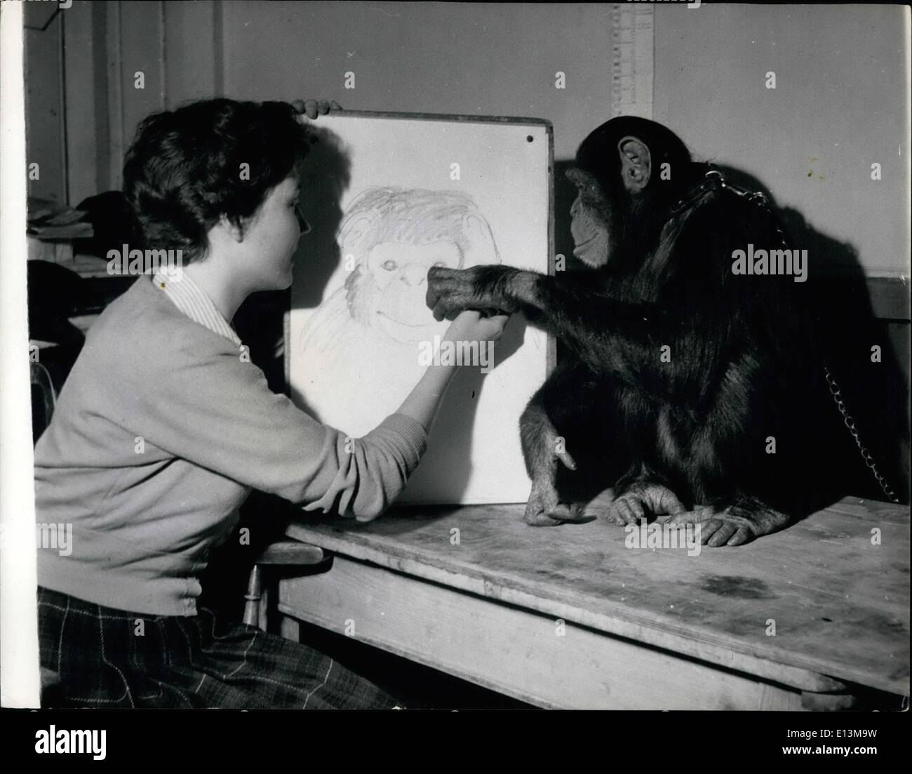 Mar 02, 2012 - Sally aiuta l'artista: Sally chimp tenta di dare art student Marion ultimo una mano con il suo ritratto su cui ha lavorato. Egli è molto critica, e vuole avere un andare lui stesso. Che attira chi allo Zoo: Sally prende all'arte: gli studenti di arte sono dato ogni incoraggiamento allo zoo. Più popolari temi per gli studenti regolari sono gli scimpanzé e 6 1/2 anni Sally è completamente inutile circa la sua modellazione. Quando 18-anno-vecchio Marion ultimo, di Hornsey Scuola di Arte era a metà strada attraverso un ritratto della sua, Sally ha deciso che le posizioni dovrebbero essere invertite Foto Stock