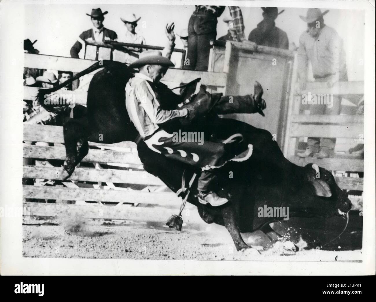 Mar 22, 2012 - Il Cowboy. Arriva una troncatrice: Egli appare molto grazioso. Non Cowboy Mel Clark. come egli è in procinto di Ã¢â'¬Ëoe bite- la polvere'. dal retro di una feroce bull. durante un rodeo all'Imperial, California.. Ã¢â'¬Ëoe appena un po' di divertimento' dice di me. Foto Stock
