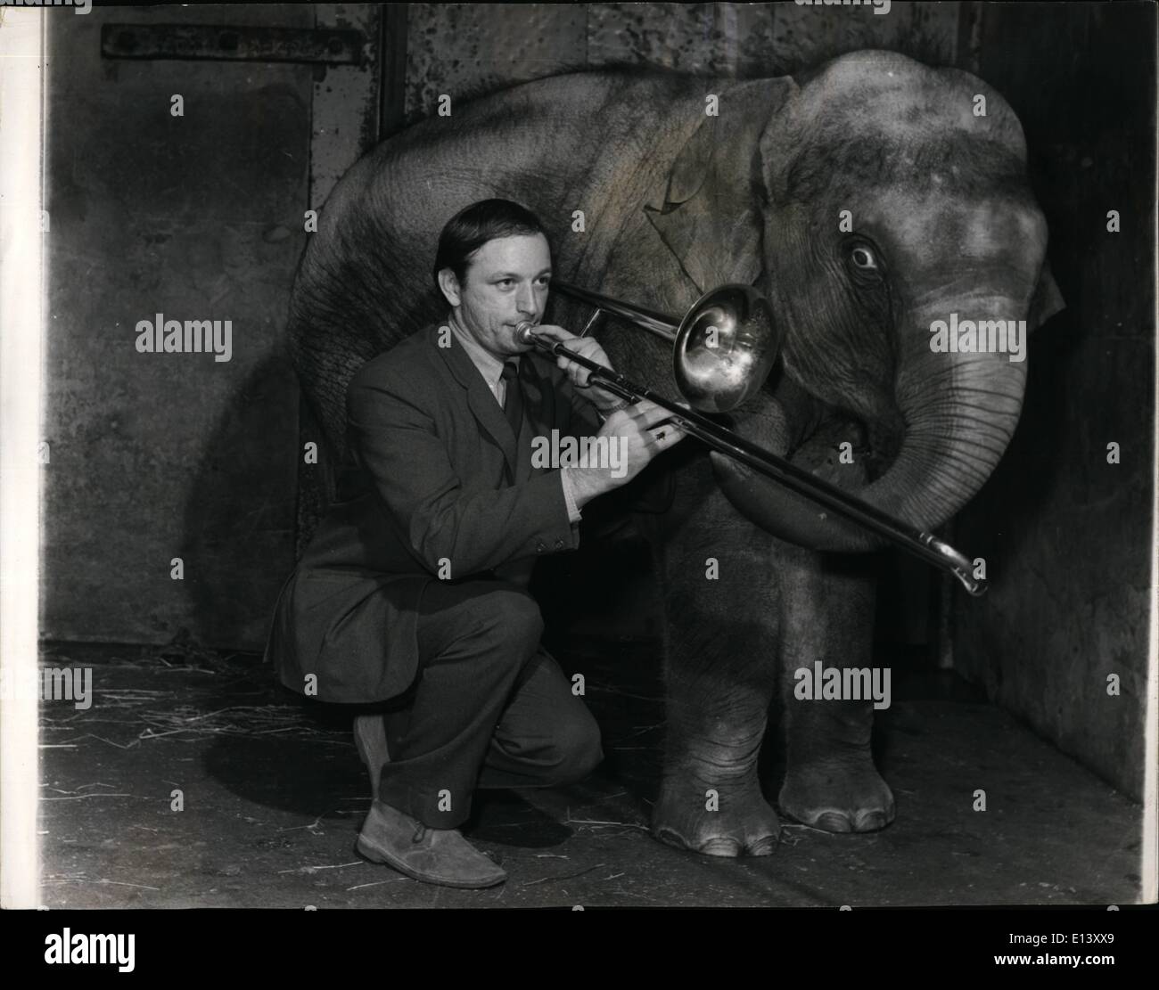 27 marzo 2012 - è la 'Dog House' o la Casa degli Elefanti per questo giocatore di trombone: Era o la 'casa del cane' o la casa dell'elefante per il capo della banca jazz Gordon Robinson dopo che hew è stato girato fuori del suo primo a causa delle denunce circa il rumore che ha fatto il fotoricettoreche tising sul suo trombone. Quando si era assimato a praticare, il suo padrone di casa, il signor Christie, di Staradale-strada. Manchester, ha detto che deve lasciare Gordon aveva insistito per provare il Festival europeo della Jazz-Band ''(illeggibile)', che prenderà il via a Zurigo la prossima settimana Foto Stock