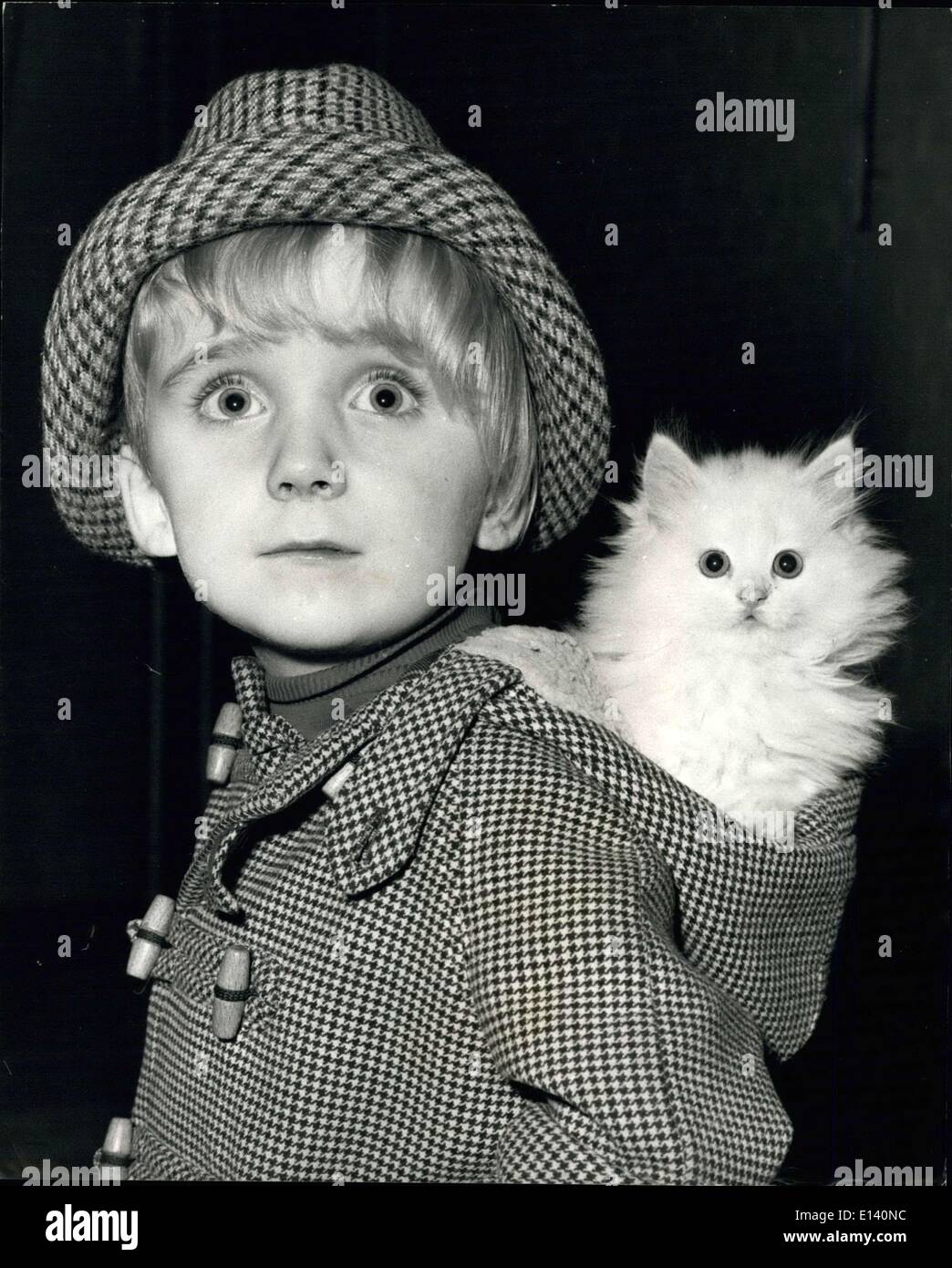 Mar 31, 2012 - Il national cat club championship show all'Olympia : la foto mostra il giovane Christoper Martyn, età quattro, di Highgate, Londra. trova un nuovo modo di trasporto così come egli arriva ad Olympia con un bollitore perailm, denominato gallywog, comodamente toccato nel cofano del suo cappotto di oggi. Foto Stock