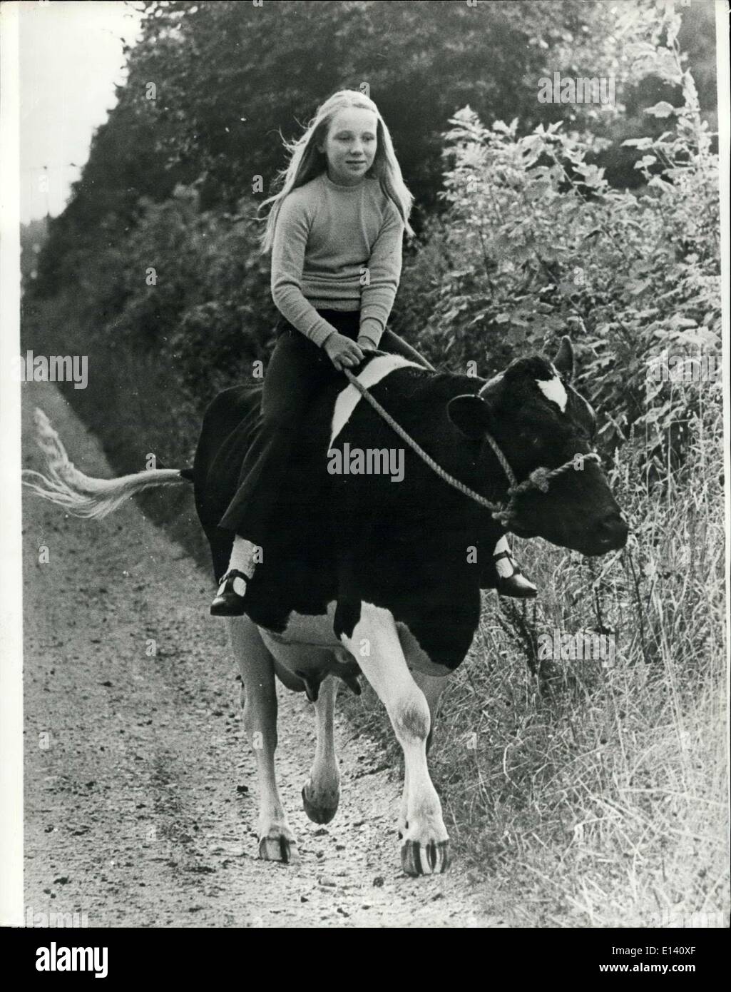 Mar 31, 2012 - una vera e propria cowgirl: 11 anni Christine Atkins è una cowgirl nel vero senso della parola. Per le piace niente di meglio che andare per un galoppo sul retro di Agnese, a nove cento peso Friesan vacca. Christine può essere visto regolarmente andando a fare un giro su tre-anno-vecchio Agnese nei campi a Greenways Farm, Maidenhill, Penrith, Cumbria. Suo padre, il sig. John Atkins, che lavora in azienda come un pastore ha detto: Christine ha un modo con gli animali e un giorno lei appena saliti su Agnes indietro e che è stato Foto Stock