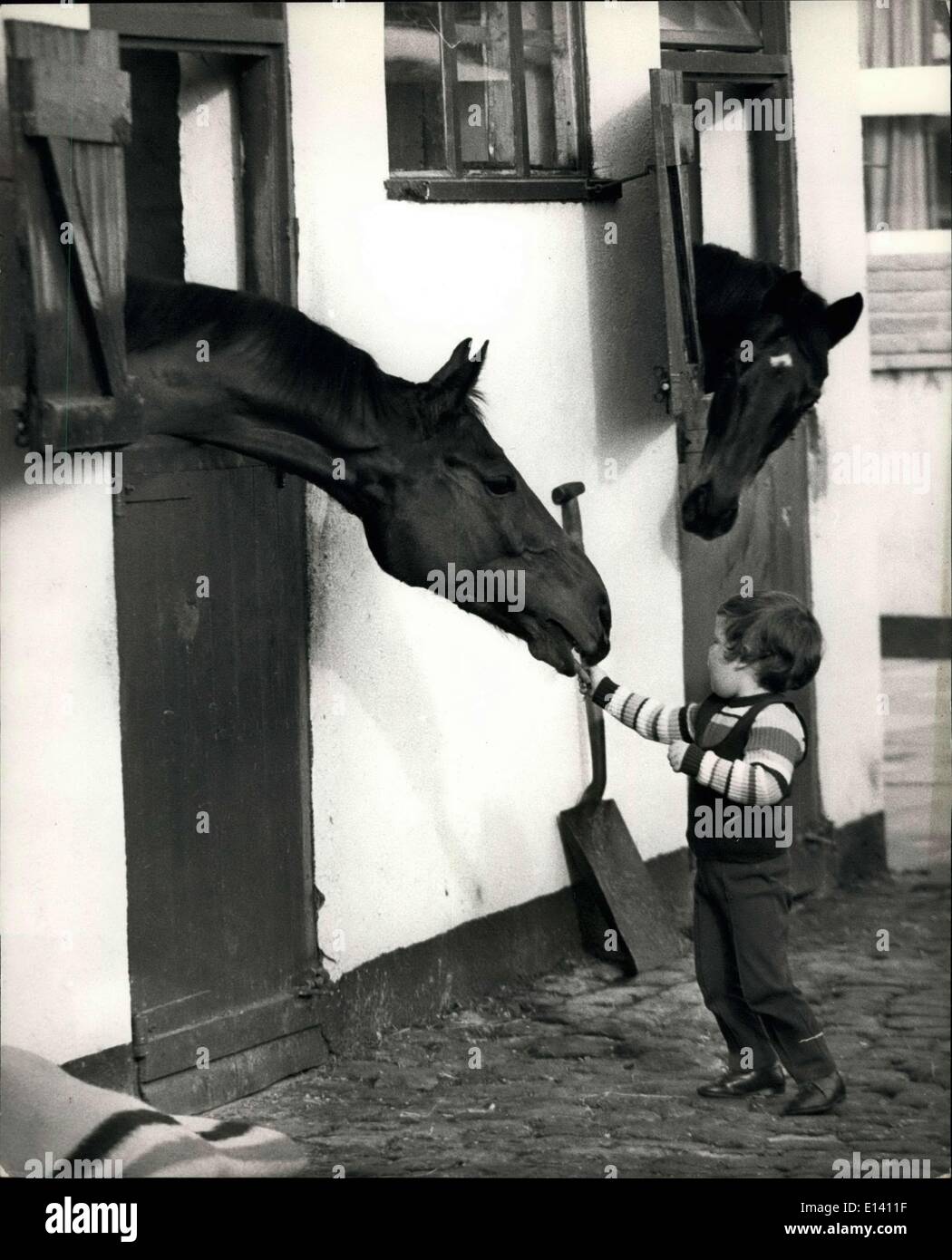 Mar 31, 2012 - Red rum è pronta per la national..... Come arrivare a la grave impresa di conquistare il suo secondo Grand National, Red Rum , a causa di avere la sua prima gara dell'anno in tr 1a Haydock Park mercoledì è la formazione in spiaggia a Southport dopo due mesi a licenziare. Il lavoro implica saltando sopra le colline di sabbia e la mattina presto galoppa con una raffica di uccelli per la società. Donald Mc Cain junior (da 31/2) è un preferito con Red Rum - i motivi - carote dopo la sua corsa mattutina. Compagno di scuderia Crocilla attende il suo turno a Southport home del trainer Don McCain. Foto Stock