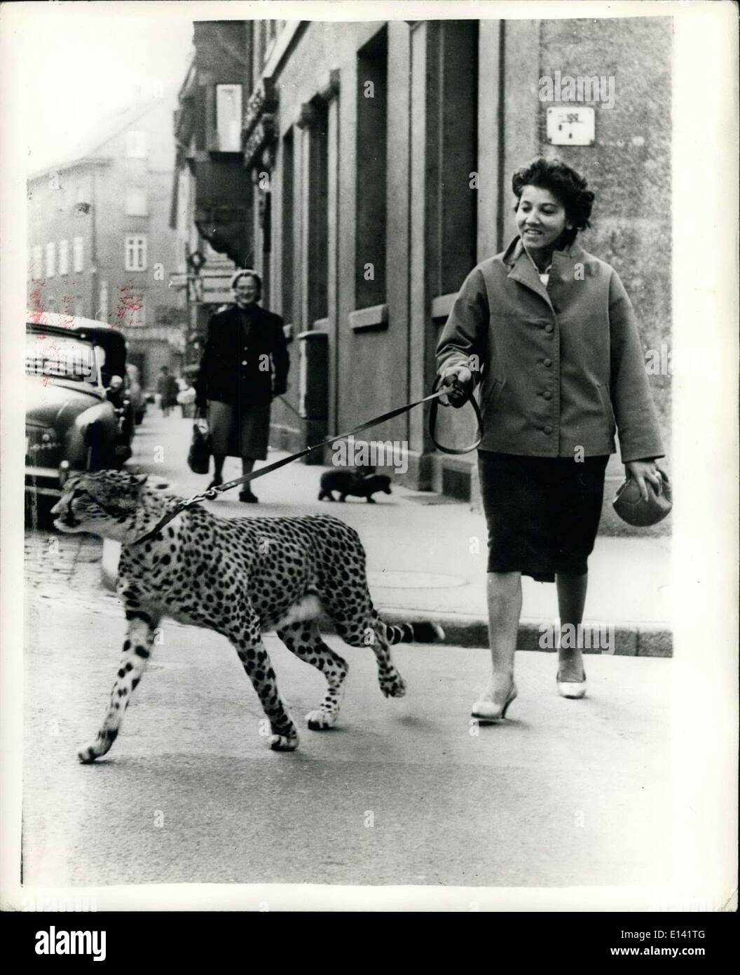 Mar 31, 2012 - un insolito pet. Keystone foto mostra: quando questo leopard è stata presa per la prima volta fuori per una passeggiata con la sua padrona, ha causato molto scalpore, ma ora i residenti a Ravensbruck W. Germania vengono utilizzate per l'ora veduta familiare. H/Keystone Foto Stock