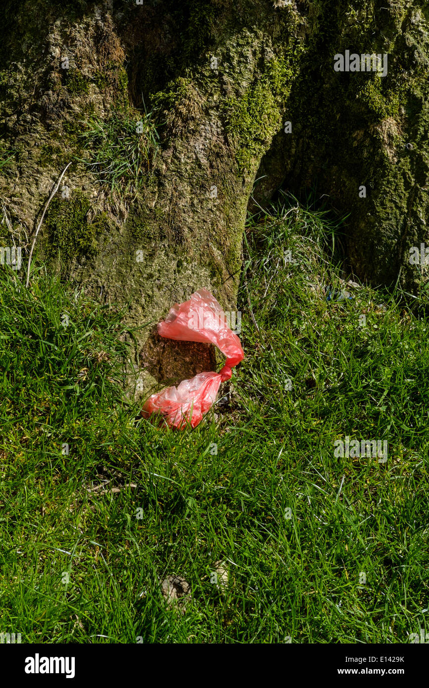 Dog Poo bag casualmente scartato nel distretto del lago, Cumbria, Regno Unito. Foto Stock