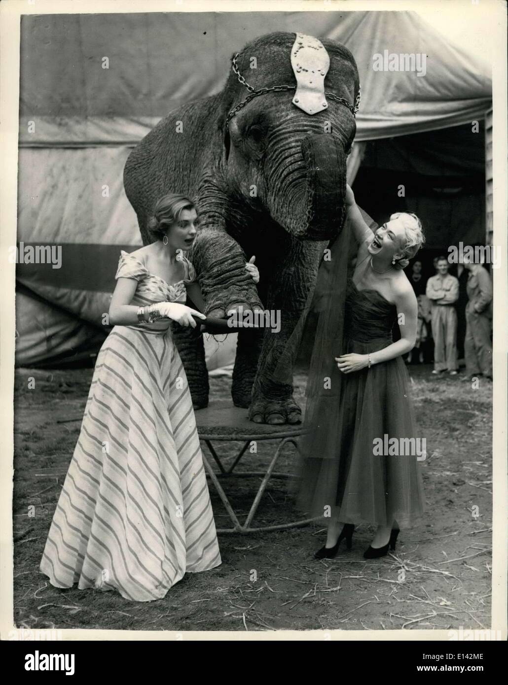 31 marzo 2012 - Festival della Moda del Circo.. I Mannequins Manicure l'Elefante: Un certo numero di mannequins del West End ha preso parte ad una esposizione unica della moda degli stili di autunno e di inverno - in mezzo agli animali nel circuito del chip erfield - a Blackheath ti mattina. Foto mostra Pamela Heath uno dei manichini - manicure le dita dei piedi di 'mabel' l'Elefante - assistito da Jane Wilson mentre stamani si stacca due abiti serali al Circus. Foto Stock