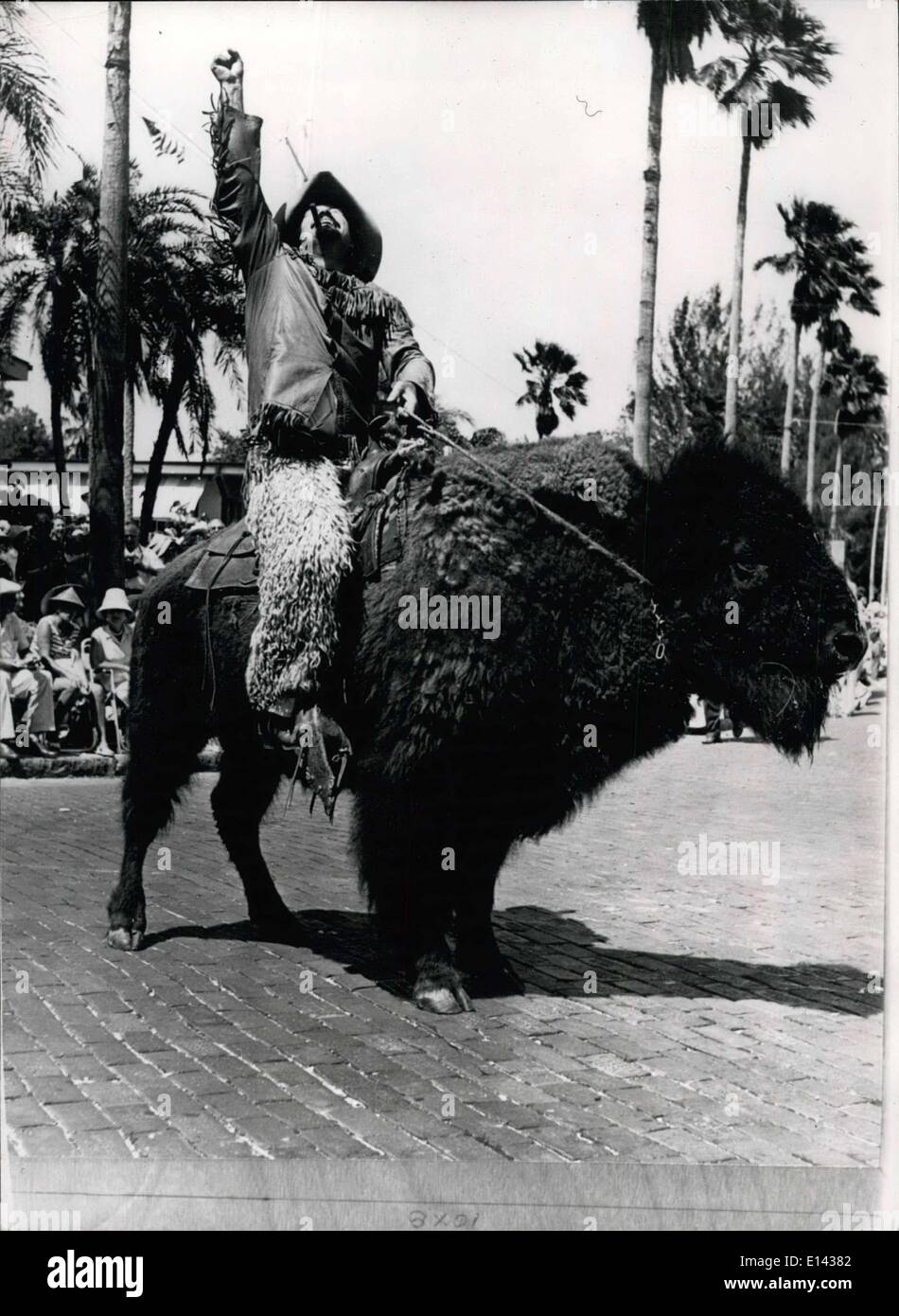 Mar 31, 2012 - Wild Bill doma il suo Buffalo. Wild Bill sarebbe stato fiero di questo robusto cowboy perché egli ha compiuto una prodezza che persino il leggendario Pioneer non è riuscito a fare - cavalcare un bufalo - l audace cavaliere William Fyfe, 28, apparso nel sole Festival, tenutosi a San Pietroburgo, Florida. Con il suo insolito lanosi destriero più successivamente è stato insignito del titolo di ''Mr. Pioneer'' per il suo spirito di audacia. La foto mostra: giorno moderno Bufallo Bill cavalca il suo destriero di Buffalo attraverso la città di San Pietroburgo, Florida. Si tratta di una vista senza precedenti per vedere quali una rara combinazione. Foto Stock