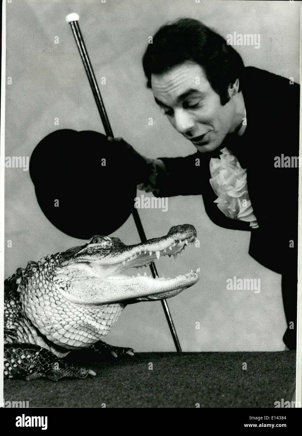 Mar 31, 2012 - Una mostra star dal Mississippi: Uno dei punti salienti del magic show di Jean-Michel Catherys è questo 17 anni alligator dal Mississippi - il fiume. Facendo una tournee attraverso quasi tutti i paesi di Europa ora Jean-Michel Catherys fornisce prestazioni in Hansa-teatro in Hamburg/Occidentale-Germania. Desiree, che è il nome di questo alligator è molto di talento, ha imparato molto rapidamente come presentare a sé gli spettatori. Ma essendo molto addomesticati Ella sempre è una vera bestia di pregare con denti pericolose. Foto Stock