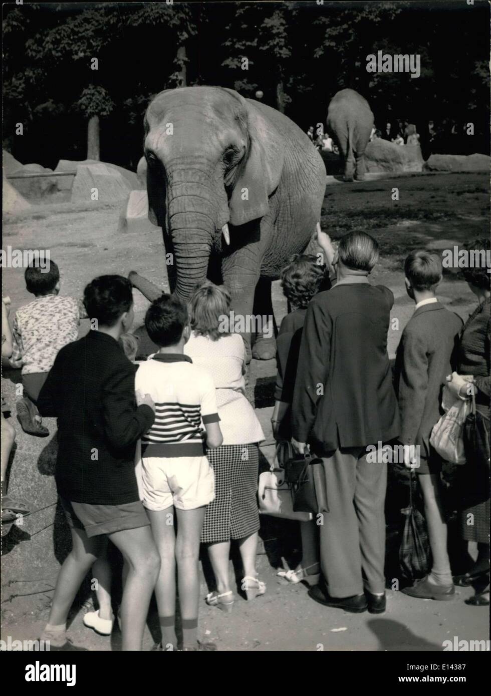 Mar 31, 2012 - Due turisti spagnoli, che stavano visitando il Vincennes Zoo, aveva deciso di prendere una foto di fronte all'elefante chiamato Micheline che stava guardando la dolcezza. Mentre la signora stava prendendo la foto, ha impostato la sua borsa giù e l'elefante preso e mangiato il suo contenuto, un passaporto tra le altre cose . . . L'elefante è stato fotografato dopo il suo exploit. Foto Stock