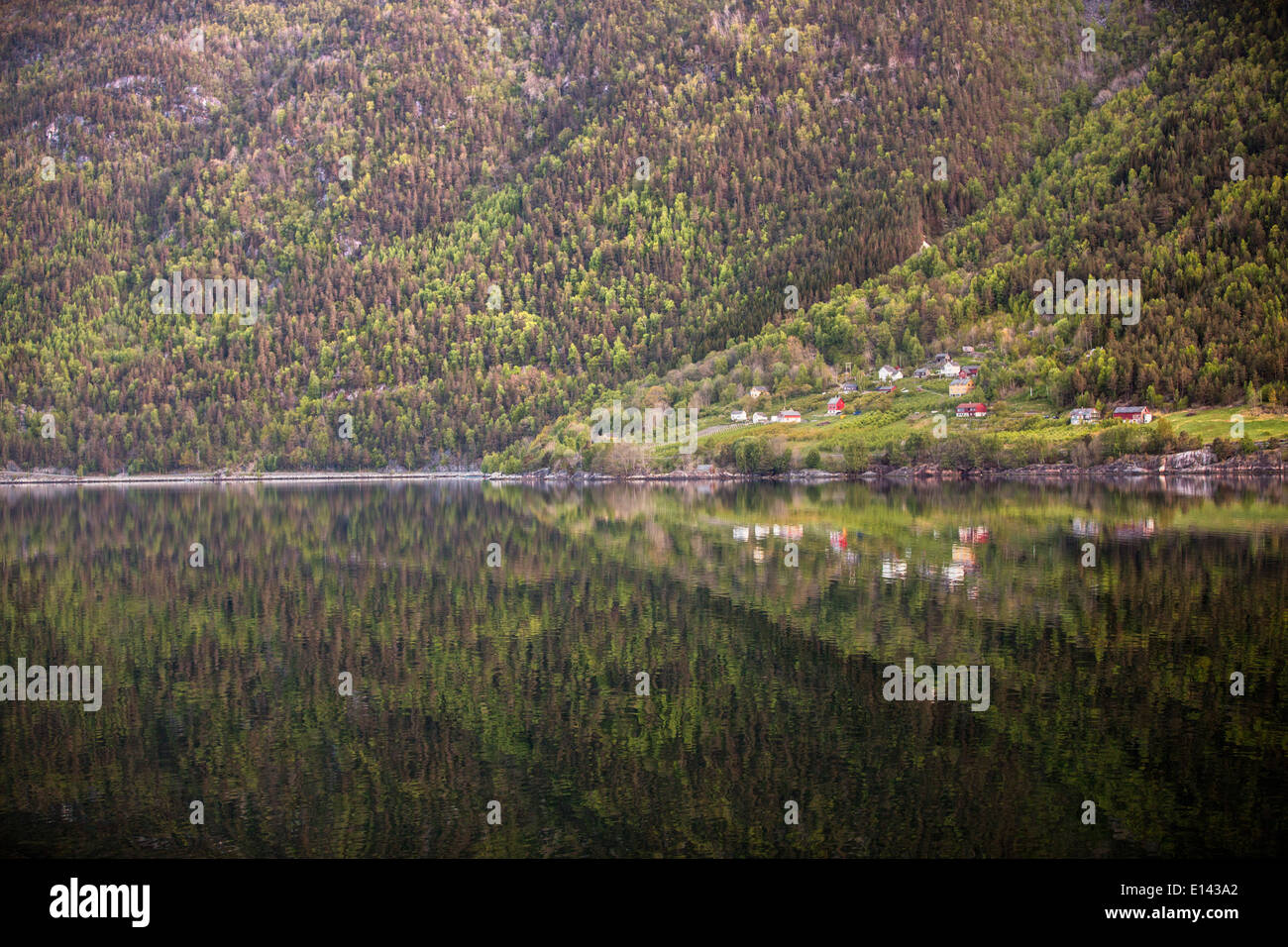 Norvegia Geiranger, Geiranger fjord. Unesco - Sito Patrimonio dell'umanità. Insediamento o piccolo villaggio Foto Stock