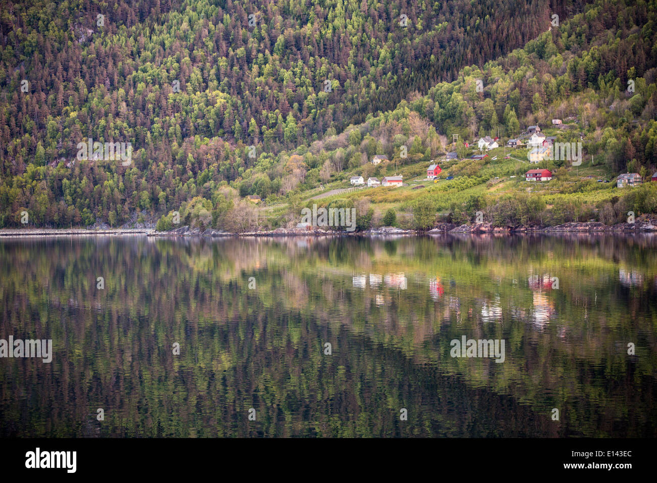 Norvegia Geiranger, Geiranger fjord. Unesco - Sito Patrimonio dell'umanità. Insediamento o piccolo villaggio Foto Stock