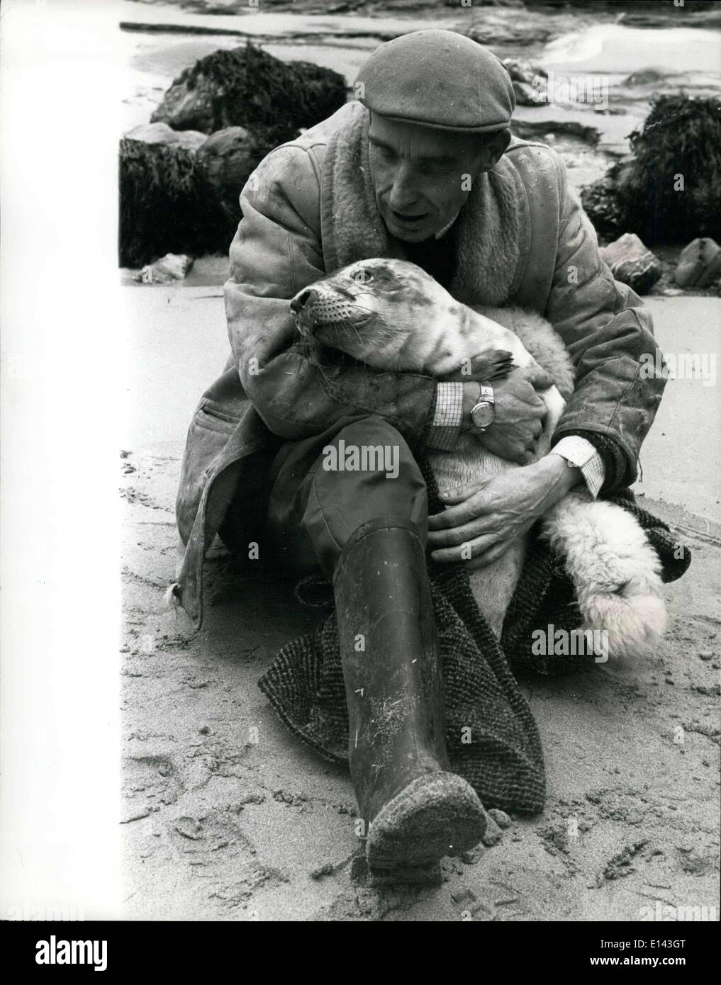Mar 31, 2012 - L'uomo che salva i mari : strumentale nella lotta per salvare la vita di centinaia di Bab guarnizioni lavate le coste della Cornovaglia, è 42 anni cafe gallese titolare Ken Jones, di st. Agnes. ken divenne primo interessato nelle guarnizioni di tenuta nel 1961, quando egli fa risuonare un bambino malato seel, ricevendo molta pubblicità nella stampa locale quando un altro giovane guarnizione è stato lavato fino, Ken è stato chiesto di guardare dopo che - alla fine in un breve periodo di tempo era sano e rilasciato e quando uno dei sigilli recuperato , ma è stato trovato avere gravi danni ai polmoni, Ken ha deciso che vi era solo una cosa per essa - ha scavato un laghetto in Foto Stock