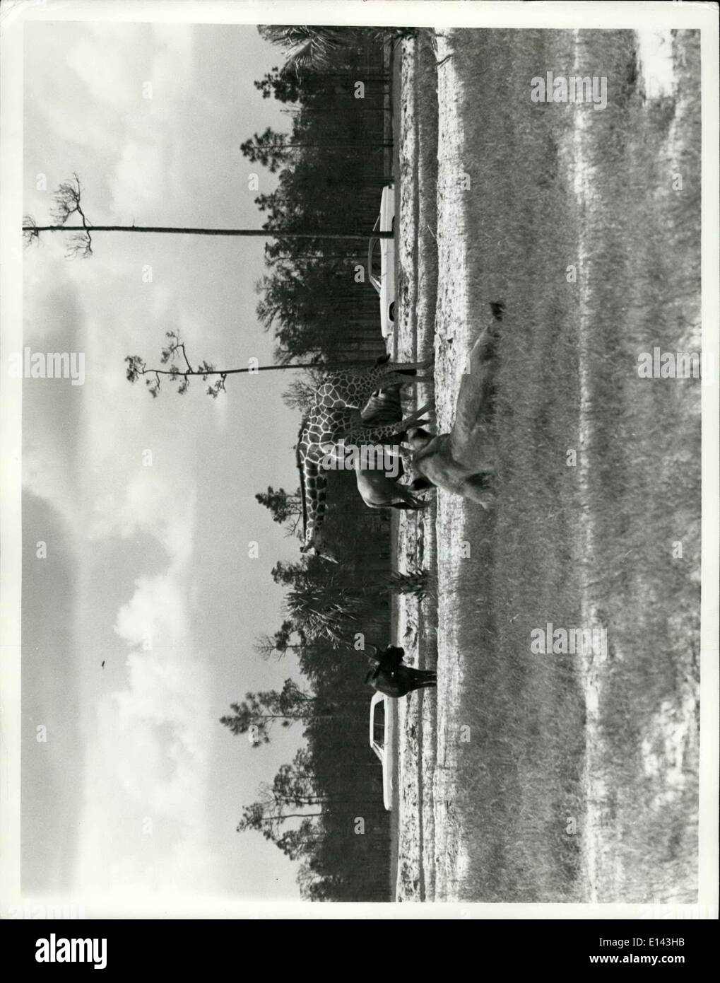 Incontri asiatici nel sud della Florida