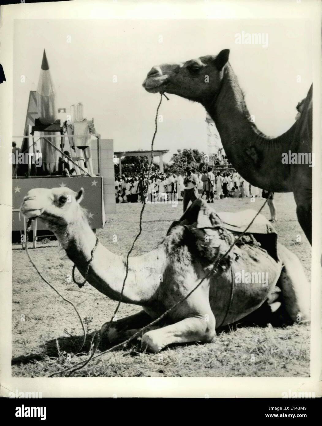Apr. 04, 2012 - Nessun collegamento con il fermo della porta accanto. Razzi e navi spaziali sono stati presentati presso un bambini pageant che faceva parte delle celebrazioni del nord della Nigeria tenutosi a celebrare il governo autonomo ha raggiunto con la cooperazione britannica. Mostra immagine: cammelli, un antico per di trasporto, sembrano sollevare nasi sprezzante all uomo di ultima forma di trasporto così come esso è stato visualizzato a Kaduna, capitale del nord della Nigeria. Foto Stock