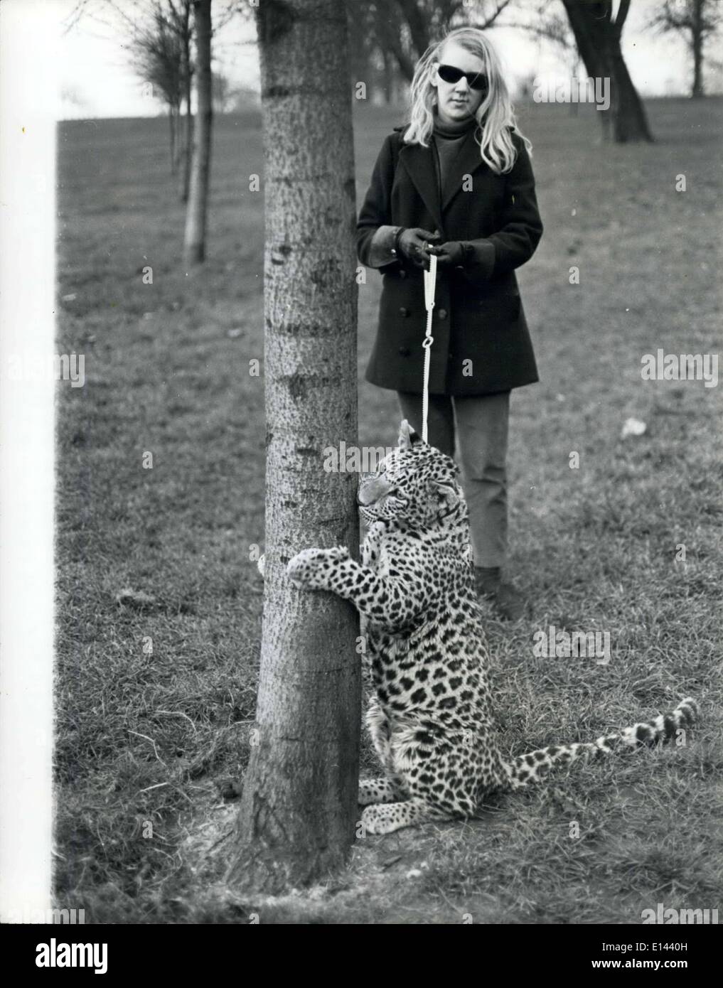 04 aprile 2012 - Angela porta il suo leopardo, Michael, per la sua passeggiata nei Giardini di Kensington. Ha comprato Micheal per 200 nei negozi Tyseley PET a Birmingham. . I problemi di mantenere un PT Cat: Angels McWilliams, un segretario part-time di 23 anni di Kensington, si possono spesso vedere prendendo Michael, il suo gatto adatto per una passeggiata in Kensington Gardens e di solito provoca oute un agitazione. Per Michael non è fuori ordinario - è un bub leopardo di otto mesi. Angeli ama i gatti - grandi - aveva un puma ma morì, così per sostituirlo ha comprato Michael Foto Stock