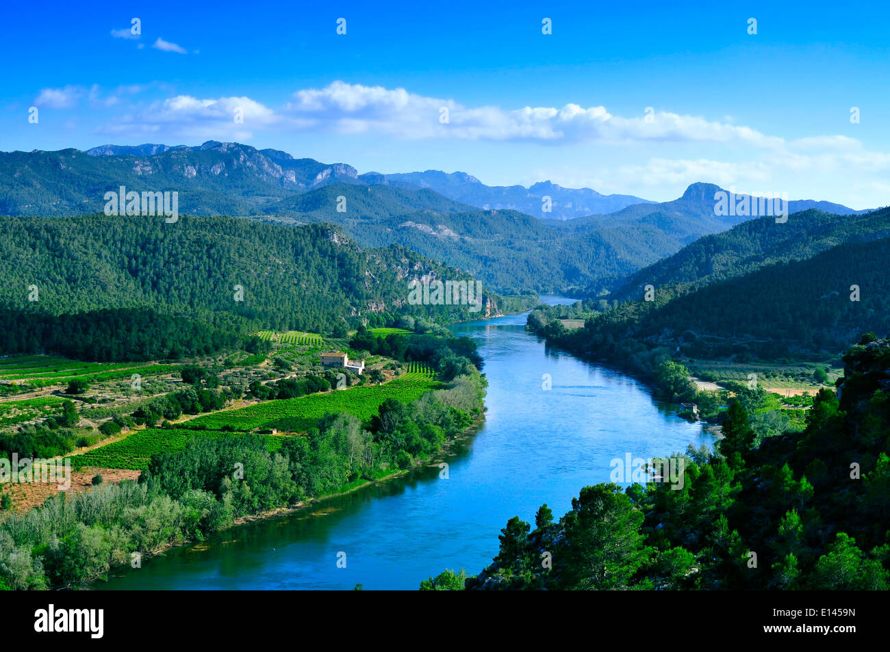 Il fiume Ebro passando attraverso Miravet, Spagna, con la Serra de Cardo e porte di Els gamme della montagna in background Foto Stock