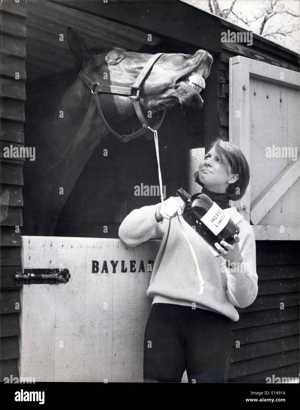 Apr. 17, 2012 - La Tosse per un cavallo gola: una prescrizione raffermo; Giorno balestra è in fase di stallo. Come molti dei suoi amici in tutto il paese ha la tosse. E quando si tratta di prendere la sua medicina ha starnutito troppo - anche se ha una delle più belle specie di medici che va. Ella è di 17-anno-vecchio Susan Sargon, di sander stead nel Surrey - e quando il suo cavallo, la foglia di alloro, un ex-racer, ha ottenuto il cavallo flu ha deciso di fare qualcosa a riguardo. Così andò al chimico e aveva un cavallo speciale prescrizione medica composta. E la foglia di alloro non pensa la maggior parte di esso Foto Stock