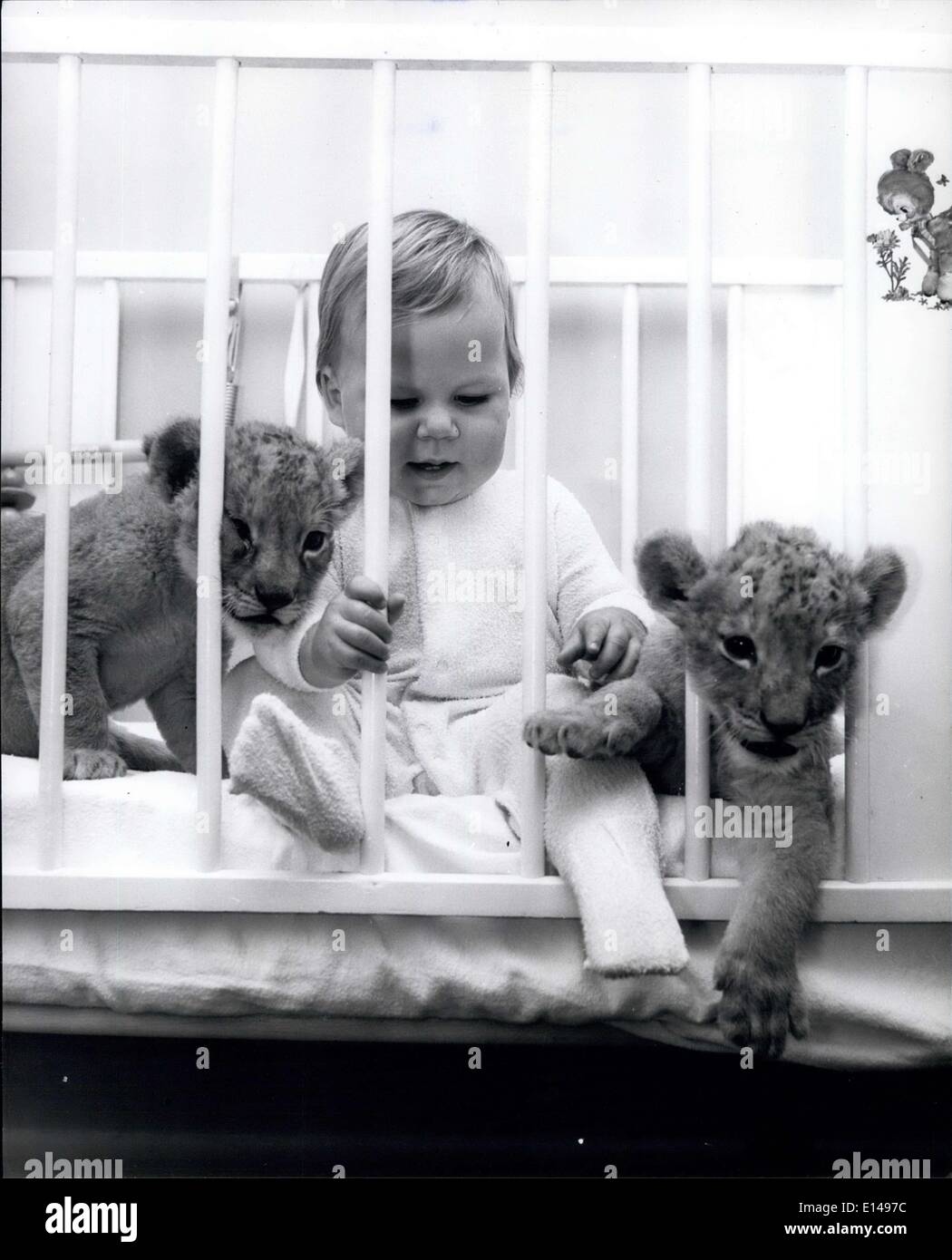 Apr. 17, 2012 - Che cosa è possibile fare, io posso fare di meglio - la presunzione di alcuni cuccioli. Foto Stock