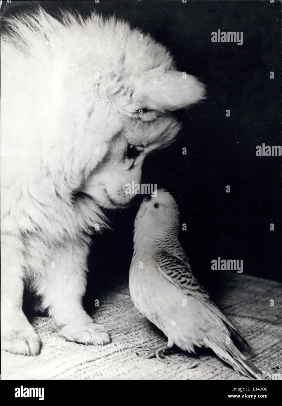 Apr. 17, 2012 - ''Ok-Sweetie - Lei mi piace: Ma meglio limitare il vostro affetto un po' prima che sia troppo tardi. Io preferisco ancora una pronta - salsicce fatte a un uccello come voi ma se continuate cercando me out per un lungo periodo di tempo, può essere cambiare la mia mente. così, essere intelligente e volare lontano. Foto Stock