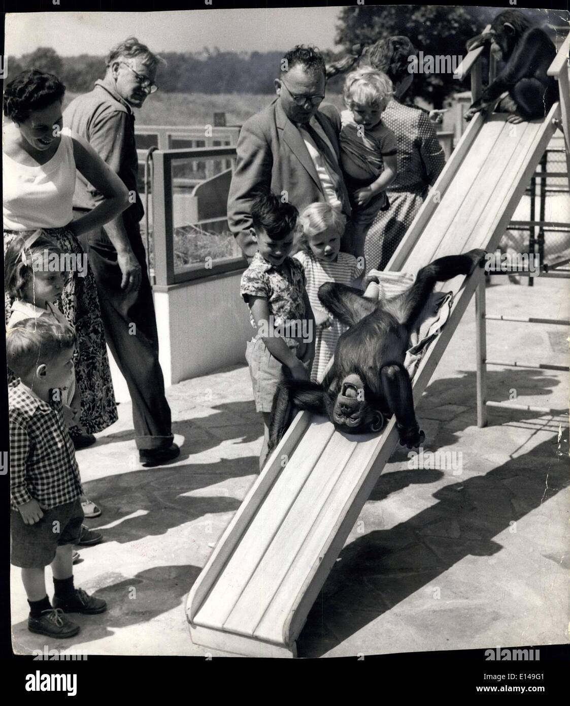 Apr. 17, 2012 - è lo scambiatore di calore in questo modo - dice chimp. Divertimento sulla slitta a zoo per bambini: gli sforzi del chimp in divertenti i curiosi da viaggio capovolto sulla slitta è molto apprezzato dai giovani visitatori al recentemente costruito lo Zoo dei Bambini a Regent's Park questo pomeriggio. Foto Stock