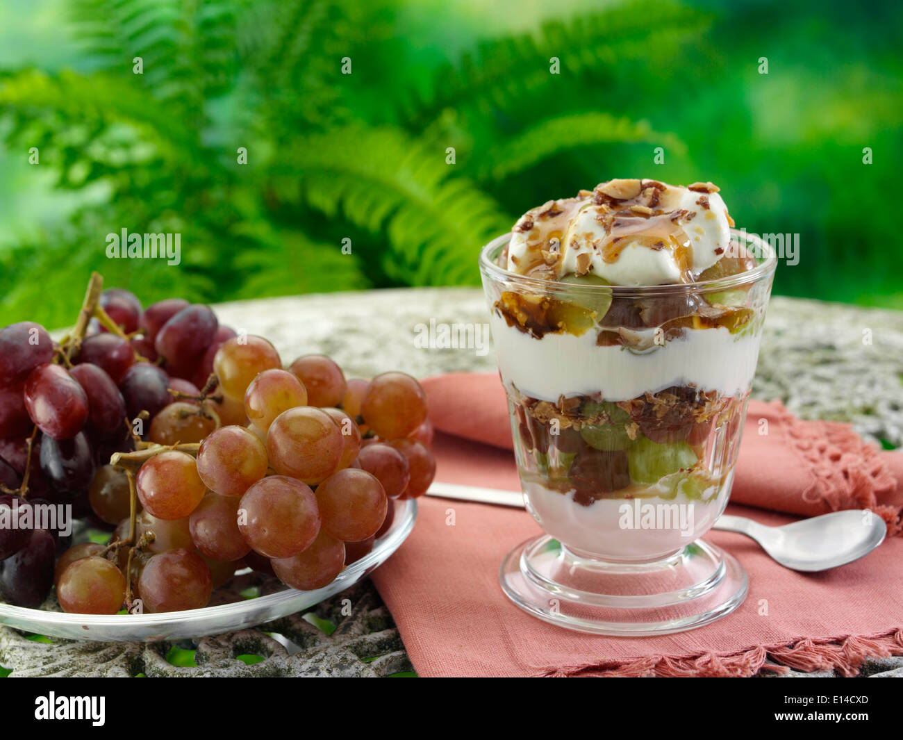 Amomi e cardamomi mandorle parfait di yogurt dessert di frutta Foto Stock