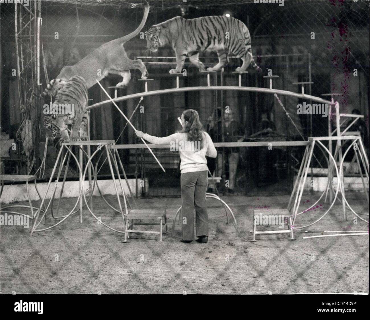 Apr. 17, 2012 - Mary's Circus è tornato in città " Chipperfield's" è per milioni sinonimo di circo, ma Maria Chipperfields Circus è distinto e separato dal suo zio di Dick circus - quello che la maggior parte di noi associa il nome a. La confusione ha infatti portato ad una grave frattura della famiglia e Maria ha dovuto sospendere le attività di circo due anni fa, ma ora è tornato di nuovo - La chiamata dell'anello è irresistibile per un Chipperfield ! Il circus - uno spettacolare show con oltre 50 animali e circa 40 artisti, compresi i clown, trapeze atti, etc Foto Stock