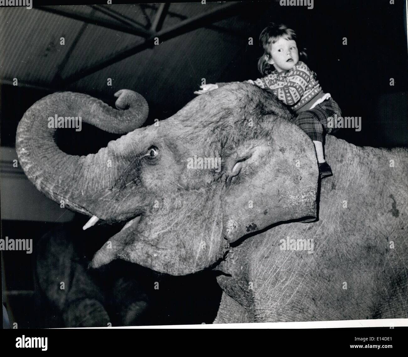Apr. 18, 2012 - Chi ha detto che gli elefanti non ridere: Yvonne sa Kam può. Foto Stock
