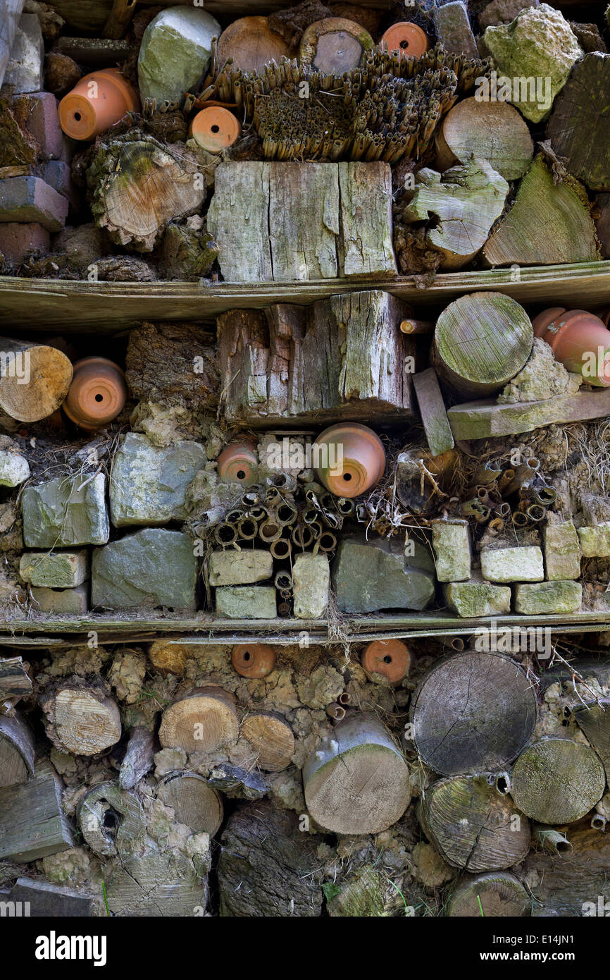 Hotel di insetti in Hortus Botanicus Leiden, Foto Stock