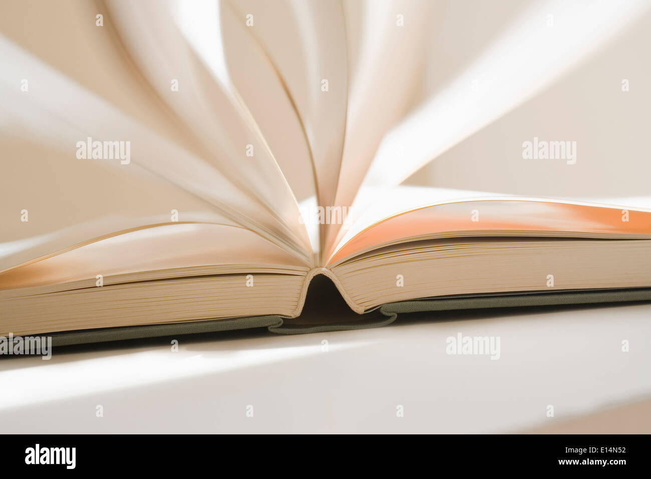 In prossimità del dorso del libro Foto Stock