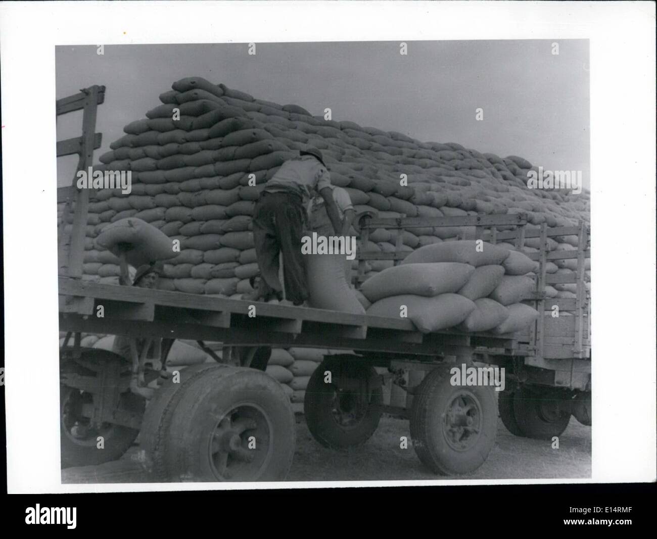 Apr. 18, 2012 - Argentina il raccolto di grano - borse essendo caricati su camion in Quequen provincia. Foto Stock