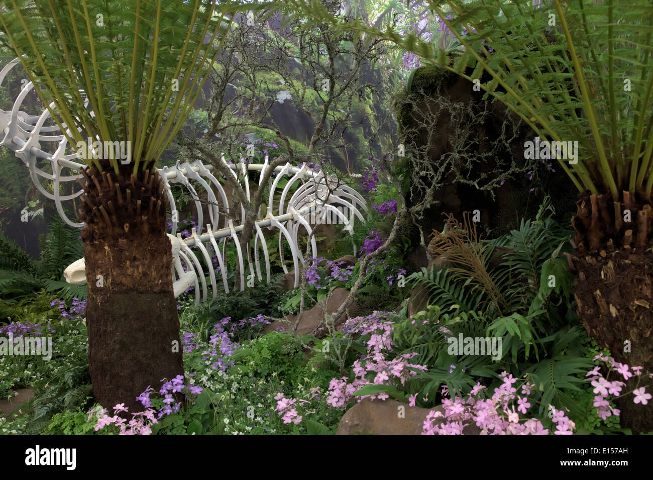 Kirstenbosch Botanic Garden display a RHS Chelsea 2014 Foto Stock