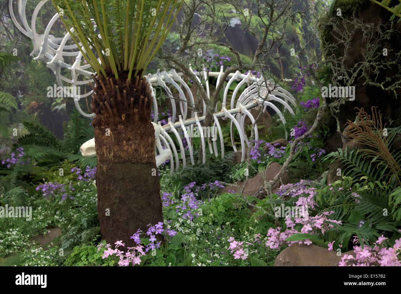 Kirstenbosch Botanic Garden display a RHS Chelsea 2014 Foto Stock