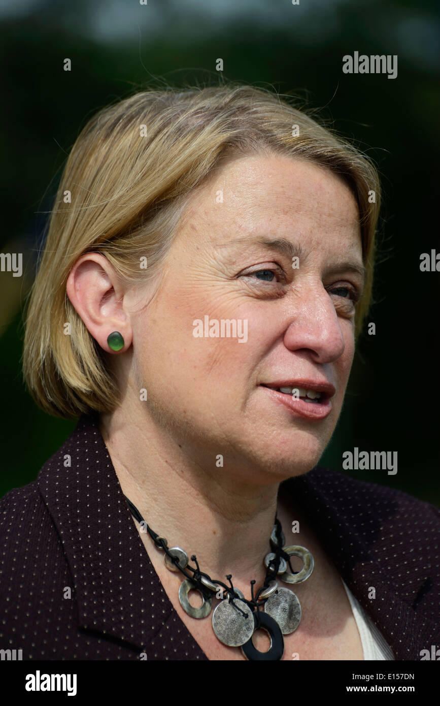 Natalie Bennett, leader del partito dei Verdi, un partito politico britannico con focus sulle questioni ambientali. Foto Stock Natalie Bennett, leader del partito dei Verdi, un partito politico britannico con focus sulle questioni ambientali. Foto Stock