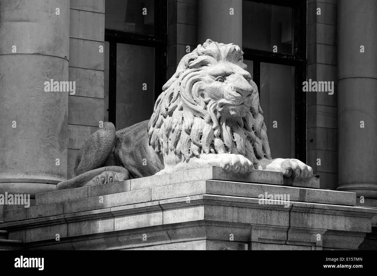 Leone africano statua in granito al di fuori della galleria d'Arte di Vancouver, precedentemente noto come la vecchia casa corte edificio, Vancouver, BC, Canada Foto Stock
