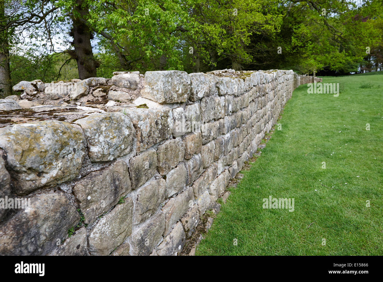 La sezione di parete di Adriano a bassa brunton northumberland uk costruito da xx legione Foto Stock