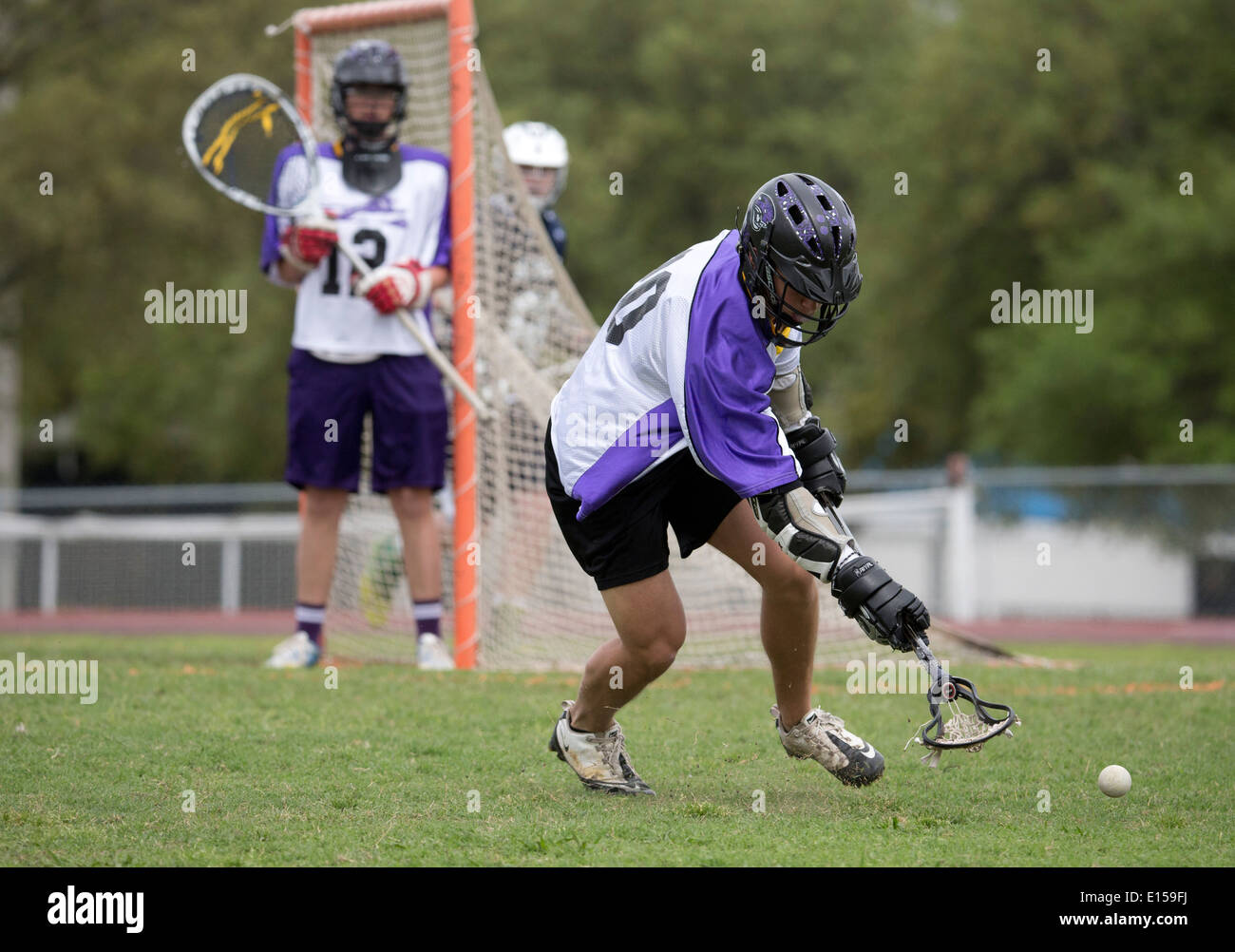 Texas high school del ragazzo azione di lacrosse dotate di LBJ High School (viola) vs. Round Rock McNeil (blu scuro). Foto Stock