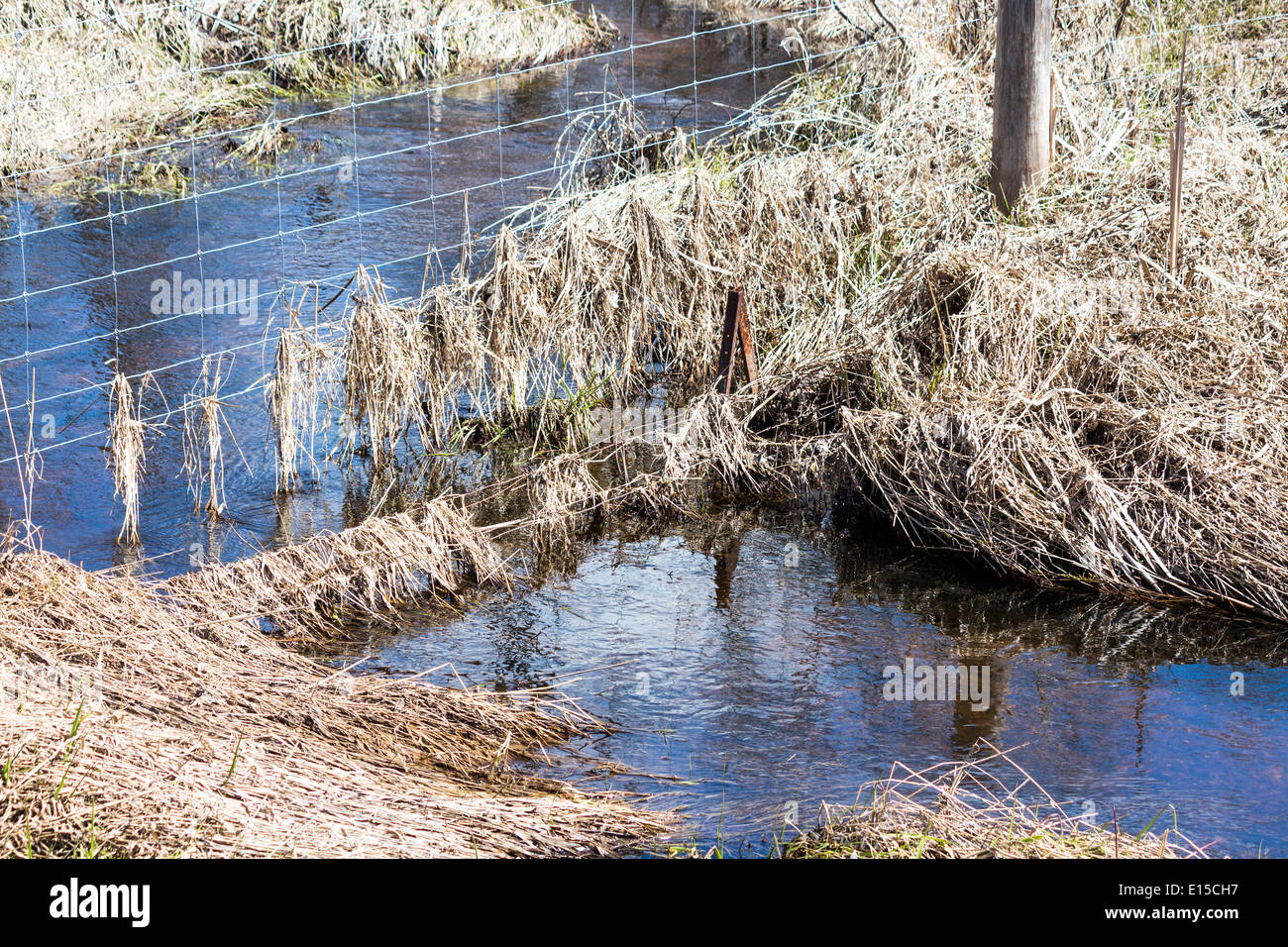 Acqua da un torrente che scorre sotto la pagina di un recinto di filo con erbe bloccato sul recinto. Foto Stock