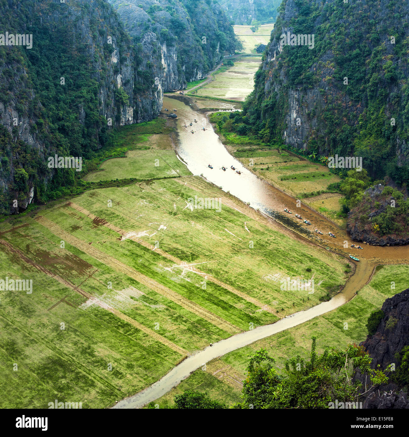 Tam Coc - Bich Dong campo di riso e il fiume, NinhBinh, vietnam paesaggi Foto Stock