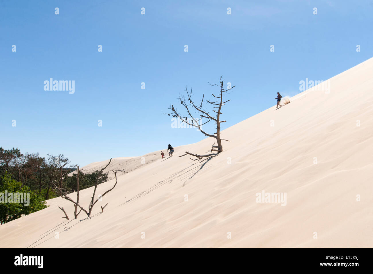 Francia, Gironde, Bassin d'Arcachon (Baia di Arcachon). I visitatori si scende la duna del Pyla, la più grande duna di sabbia in Europa Foto Stock