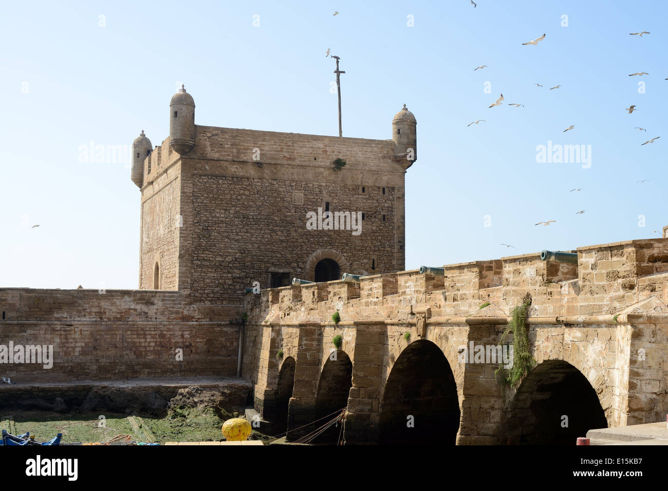 Le fortificazioni che mostra la torre e canonici a Essaouira in Marocco Foto Stock
