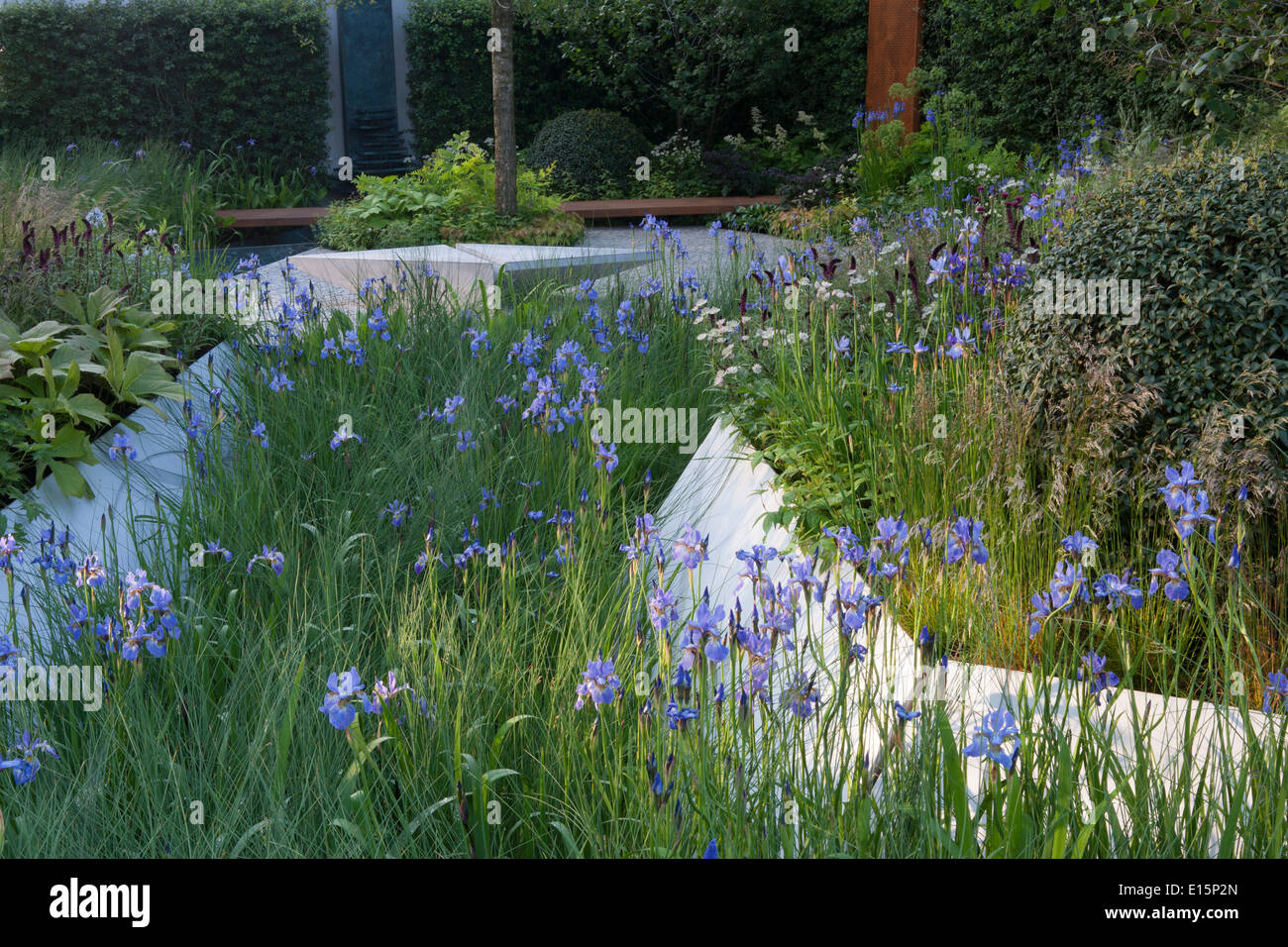 RHS Chelsea flower show 2014 Royal Bank of Canada - paesaggi acquatici Garden - Designer Hugo Bugg - Sponsor RBC Foto Stock