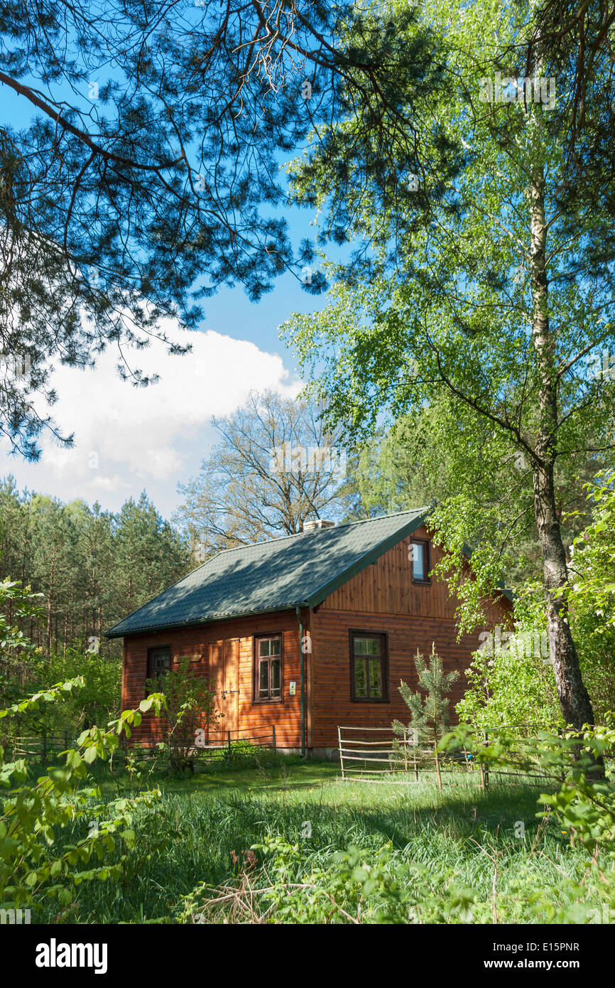 Forester casa in un bosco vicino a villaggio Bujaki, Polonia Foto Stock