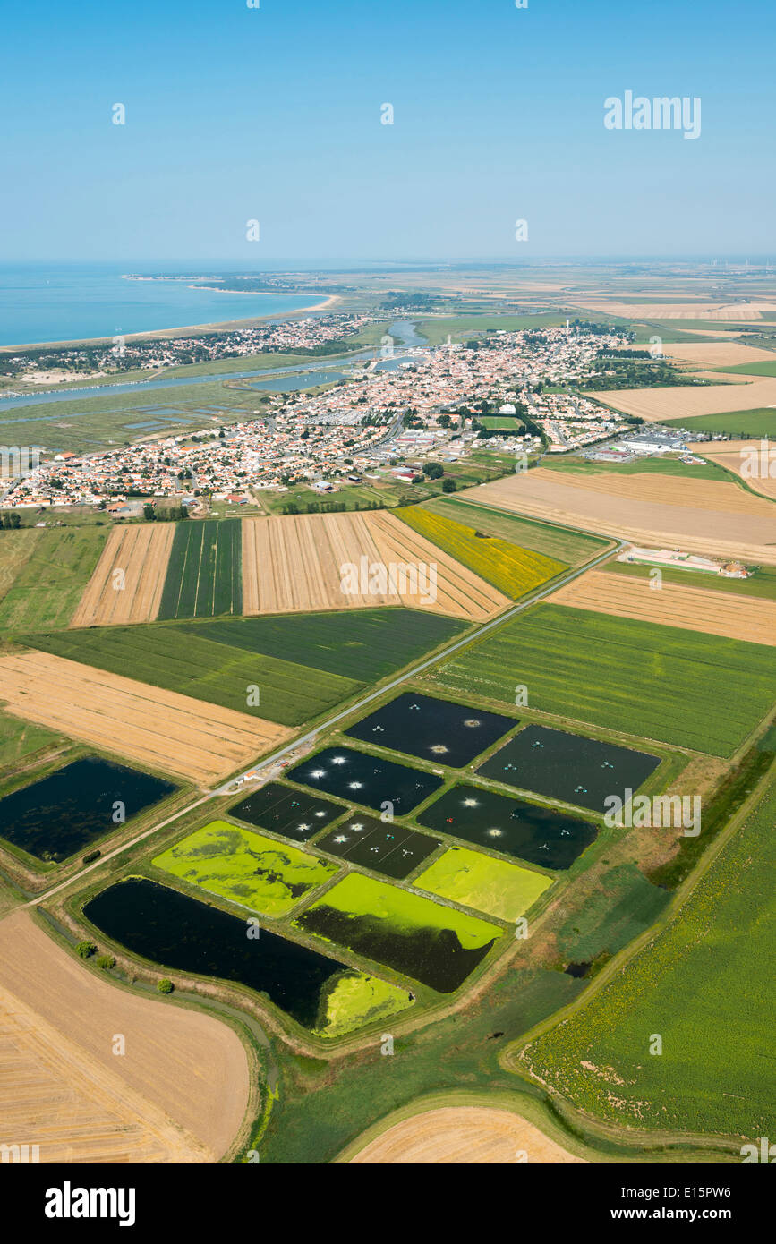 L'Aiguillon-sur-Mer: campi coltivati Foto Stock