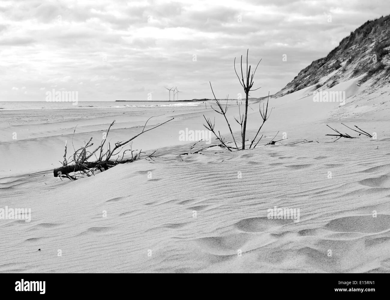 Spiaggia di sabbia in Danimarca in Hvide Sande i dintorni della città Foto Stock
