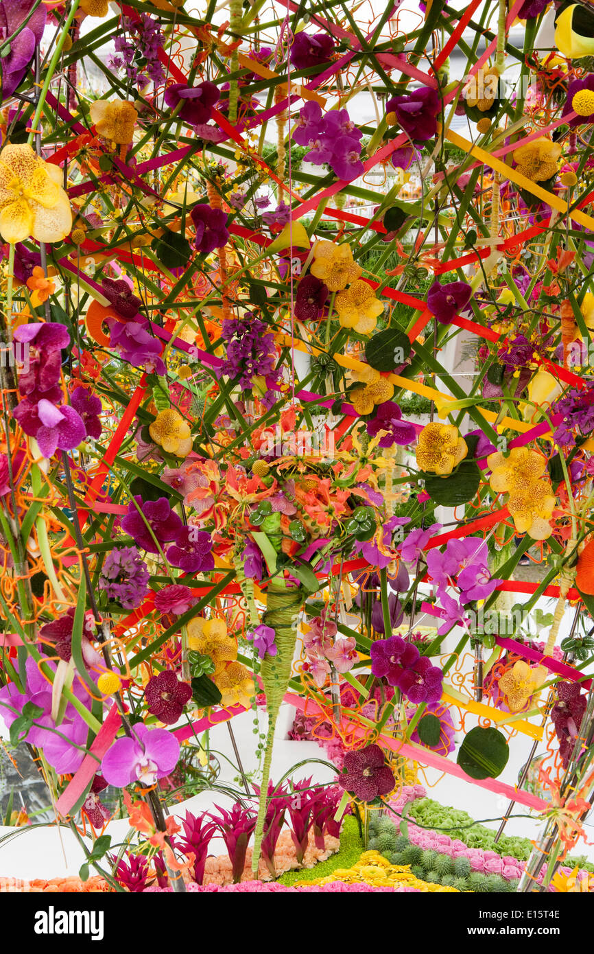 Fiore coloratissimo display Foto Stock