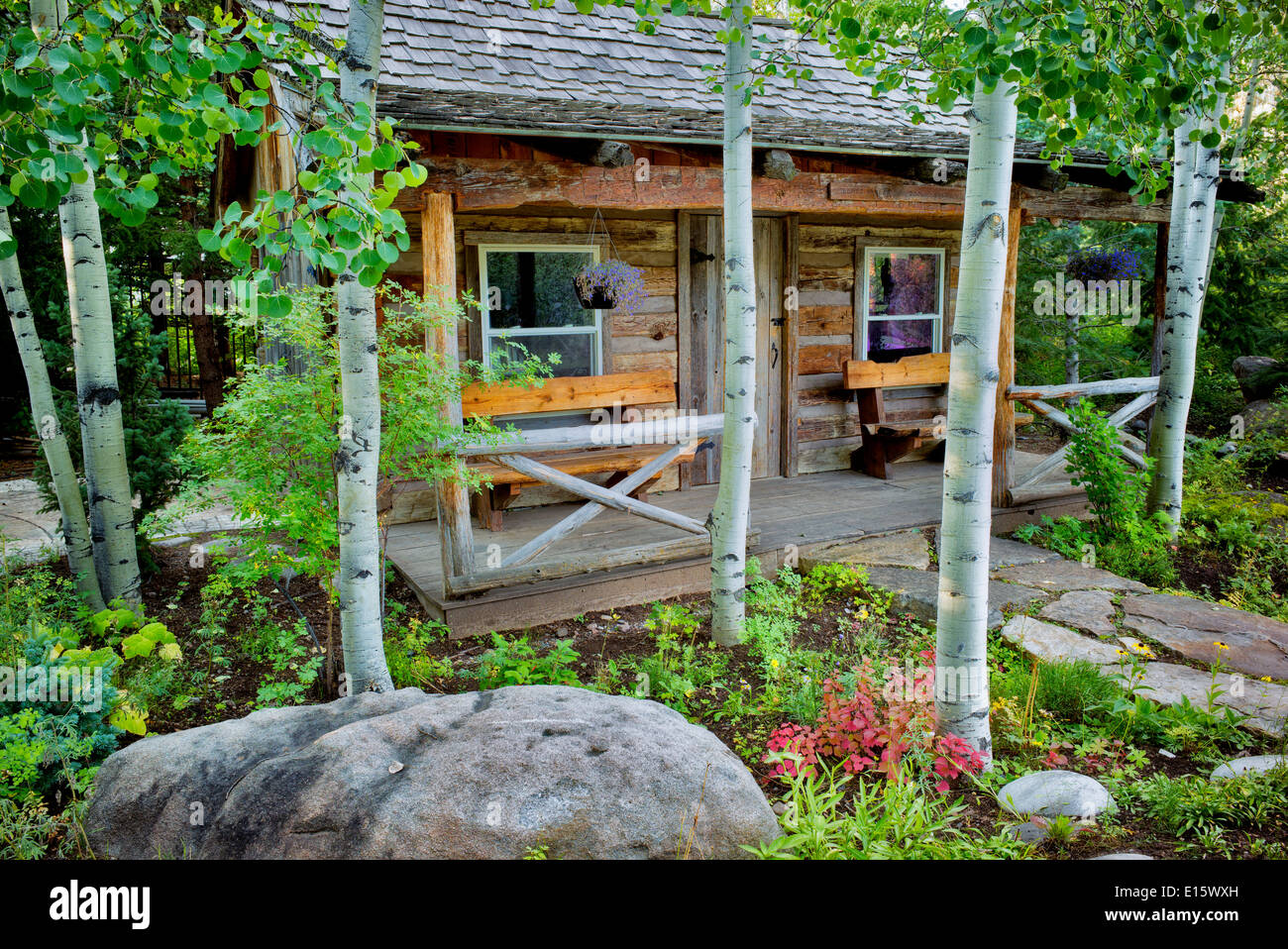 Cabina e alberi di Aspen. Betty Ford Alpine Gardens. Vail Colorado Foto Stock